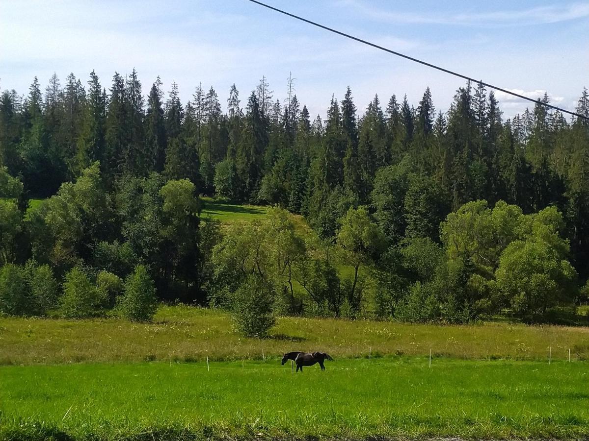 Domek U Mrugaly Poronin Exterior foto